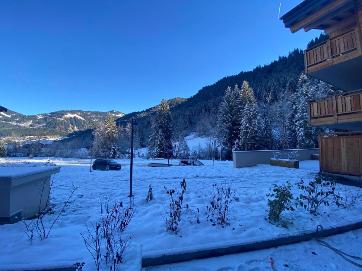 Lumineux Et Spacieux Appartement Contemporain Dans Une Residence Recente Et Paisible A Chatel - Fr-1-693-48 Exterior foto